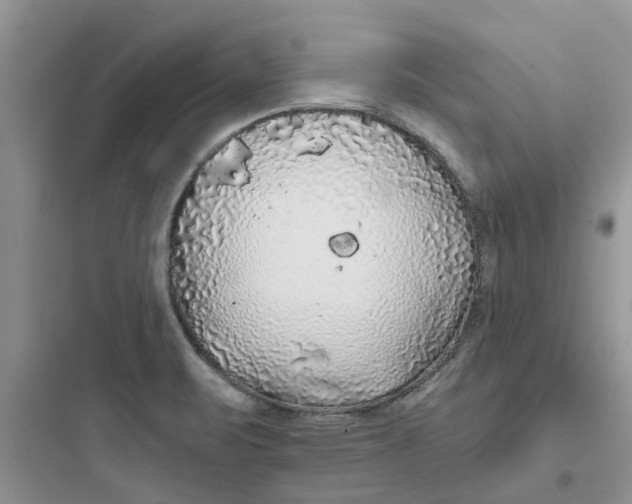 X0000097651471200803211844