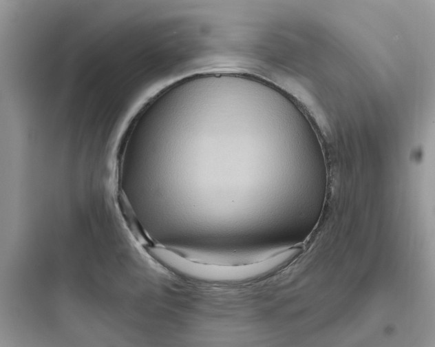 X0000097651472200803211844