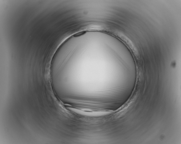 X0000097651473200803211844