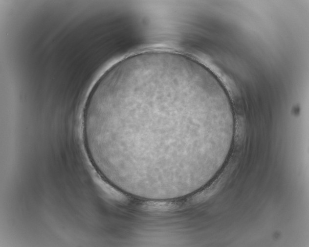 X0000097651474200803211844