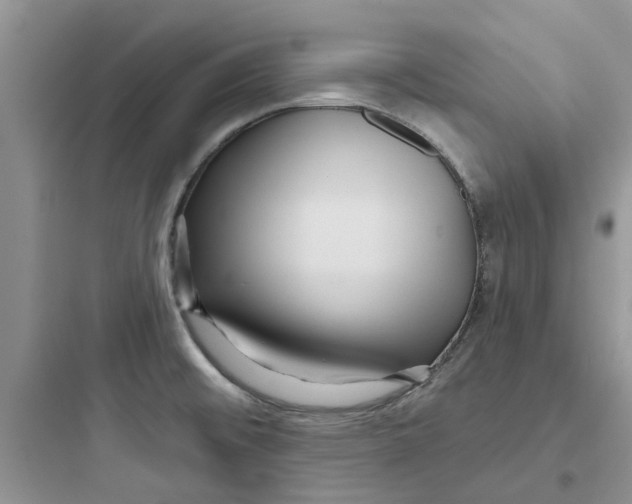 X0000097651476200803211844