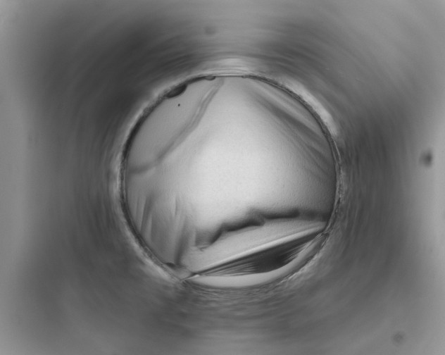 X0000097651477200803211844