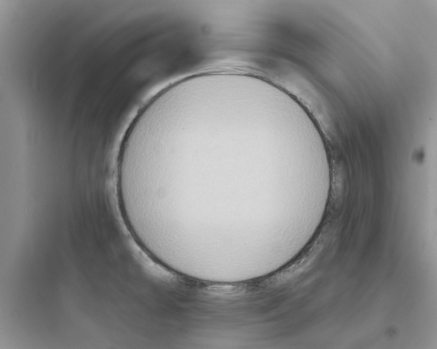 X0000097651478200803211844