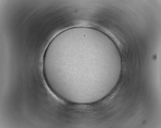 X0000097651479200803211844