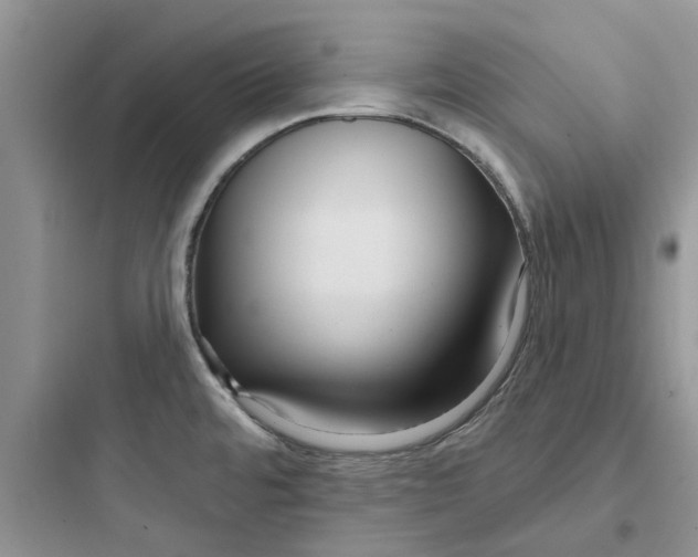 X0000097651480200803211844