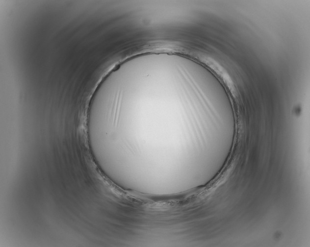 X0000097651481200803211844