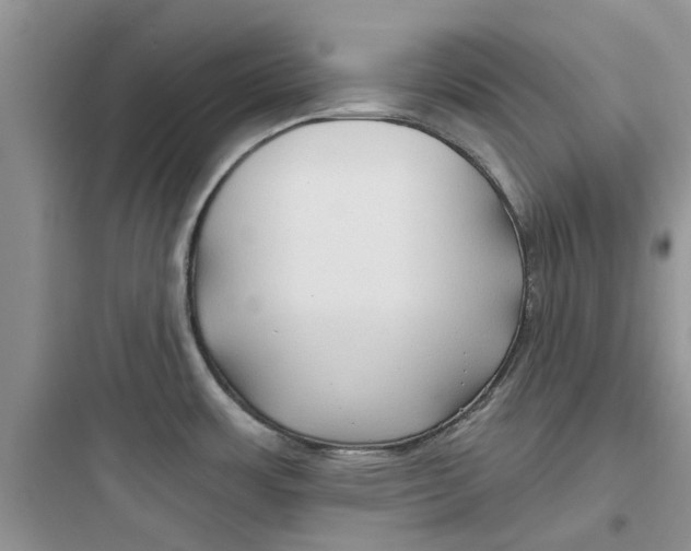 X0000097651483200803211844