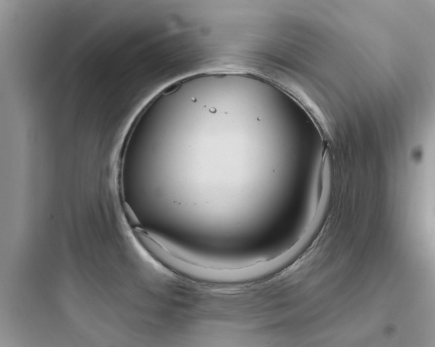 X0000097651484200803211844