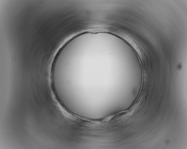 X0000097651485200803211844