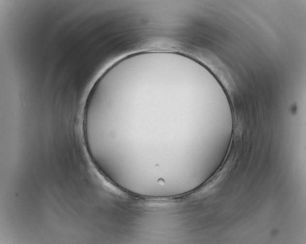 X0000097651486200803211844