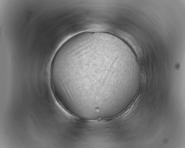 X0000097651487200803211844