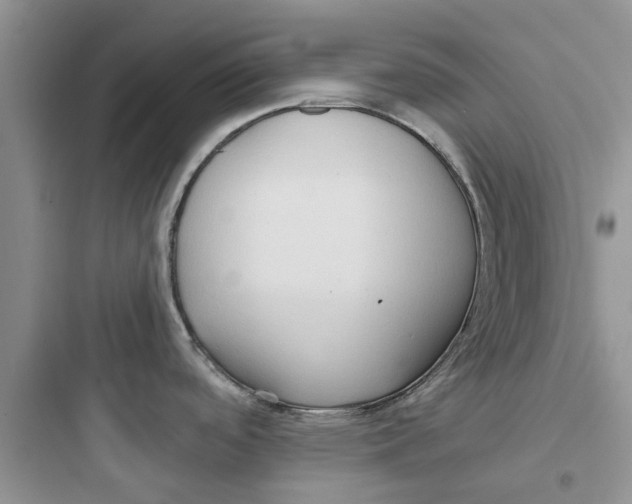 X0000097651488200803211844