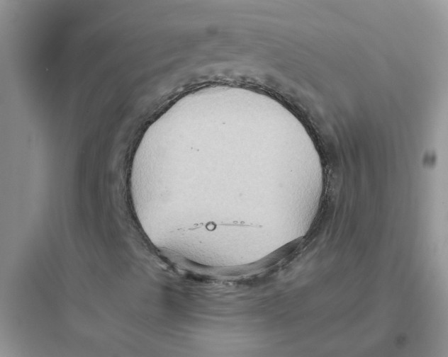 X0000097651489200803211843