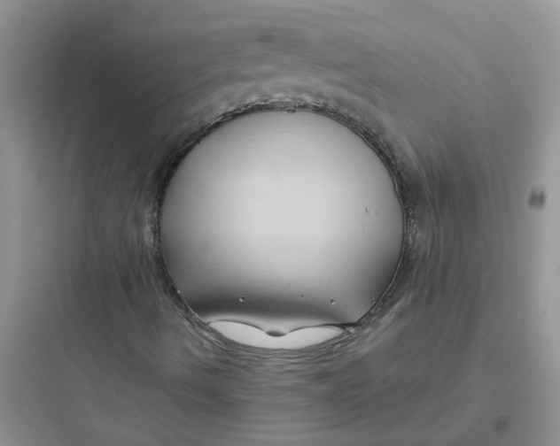 X0000097651490200803211843