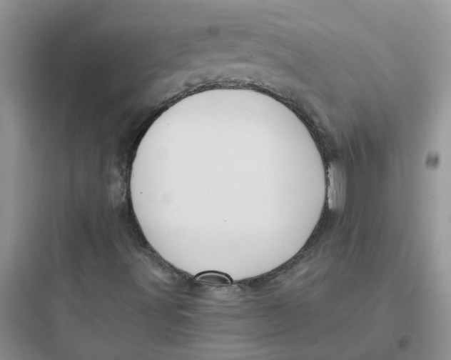 X0000097651491200803211843