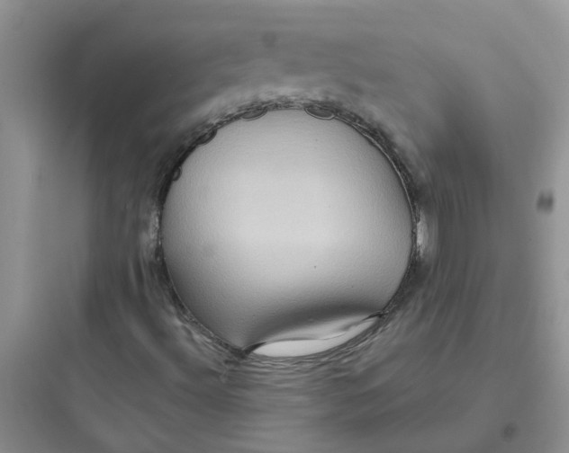 X0000097651492200803211843