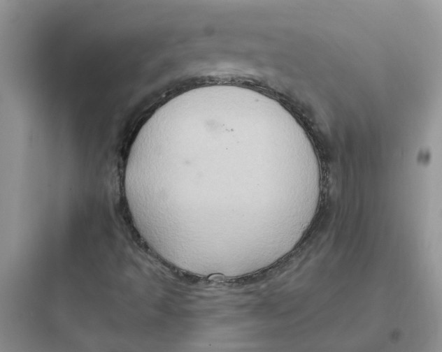 X0000097651493200803211843