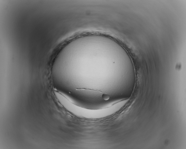 X0000097651494200803211843