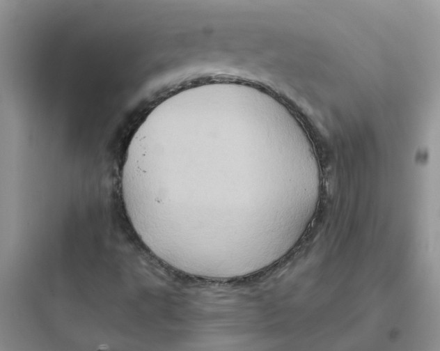 X0000097651495200803211843