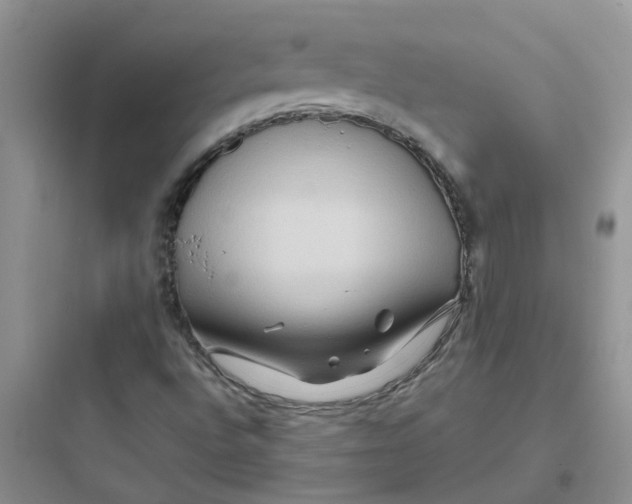 X0000097651496200803211843