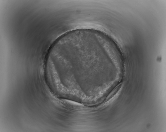 X0000097651497200803211843