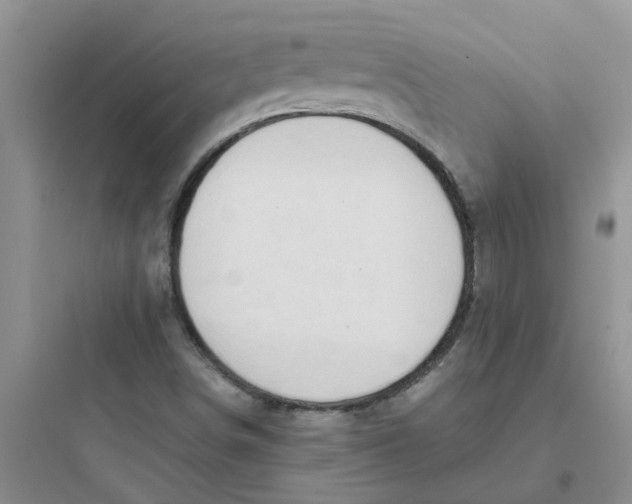 X0000097651498200803211843