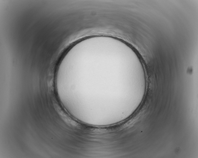 X0000097651499200803211843