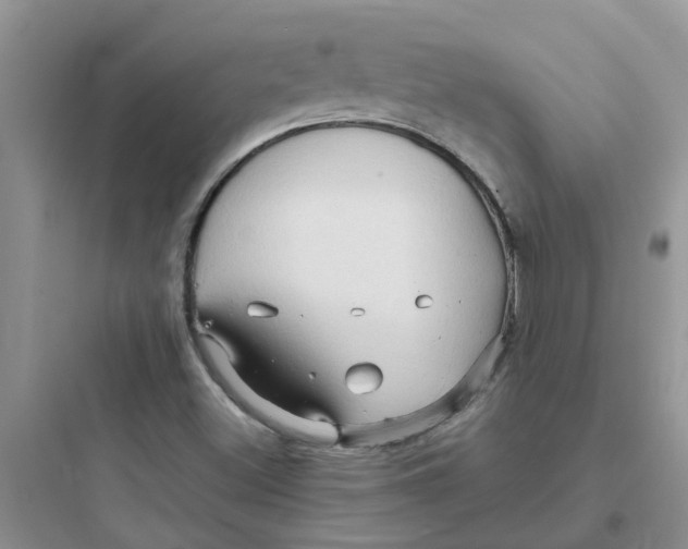 X0000097651500200803211843