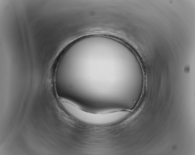 X0000097651501200803211843