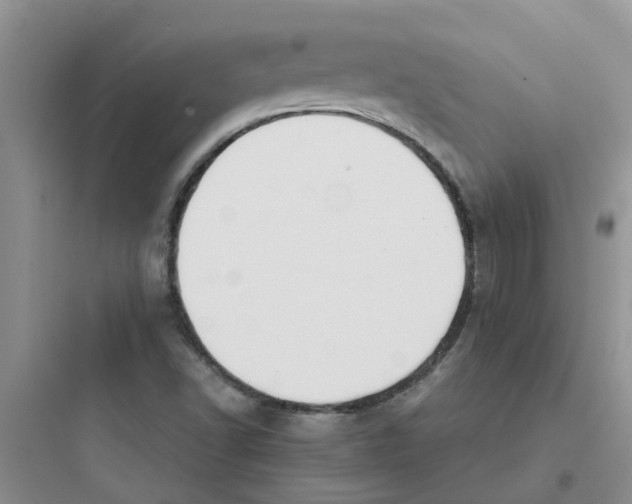 X0000097651502200803211843