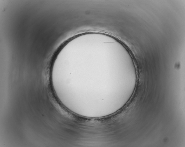 X0000097651503200803211843