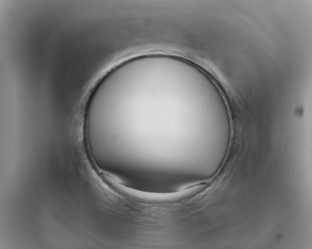 X0000097651504200803211843