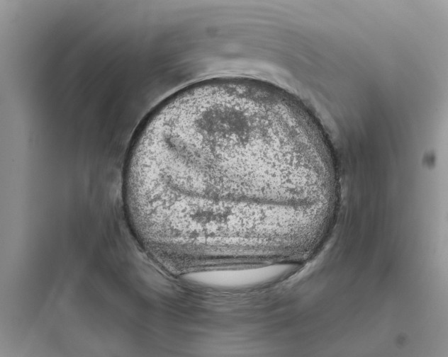 X0000097651505200803211843