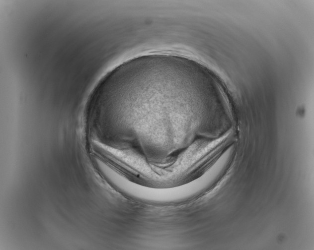 X0000097651506200803211843