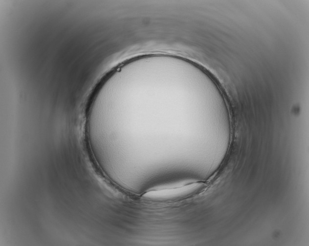 X0000097651507200803211843