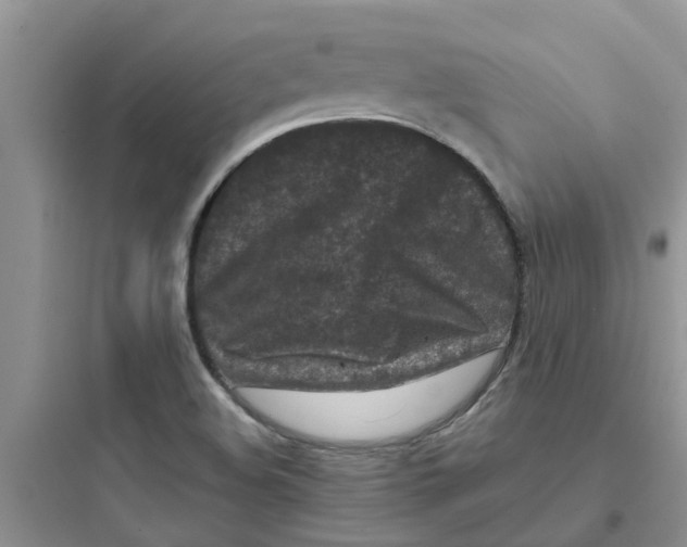 X0000097651508200803211843