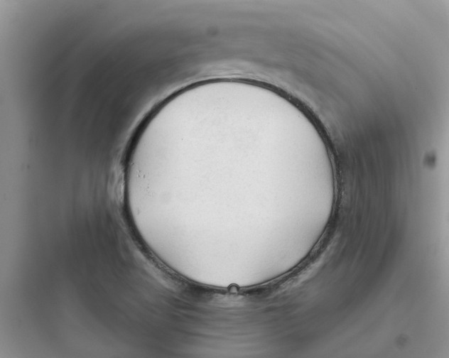 X0000097651509200803211843