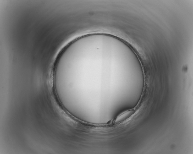 X0000097651510200803211843