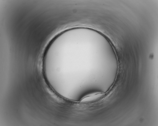 X0000097651511200803211843