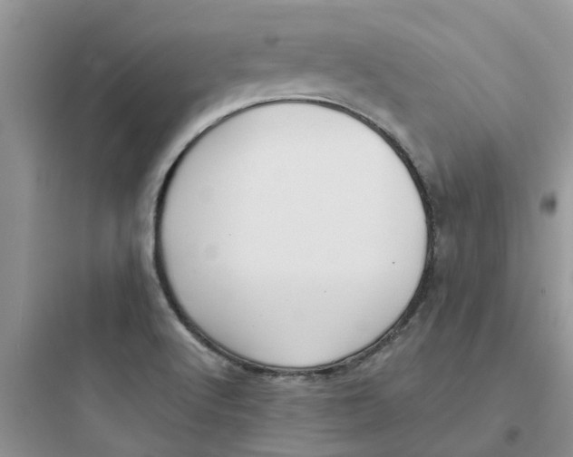 X0000097651512200803211843