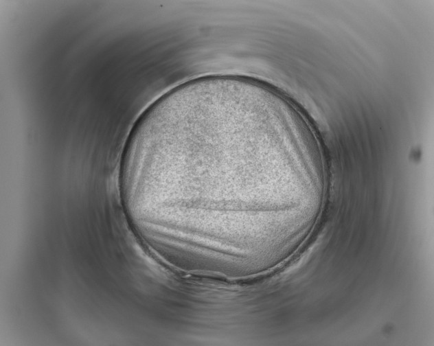 X0000097651513200803211844