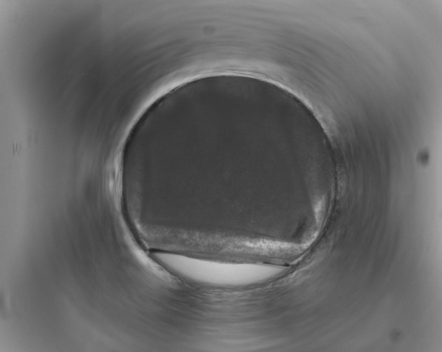 X0000097651515200803211844