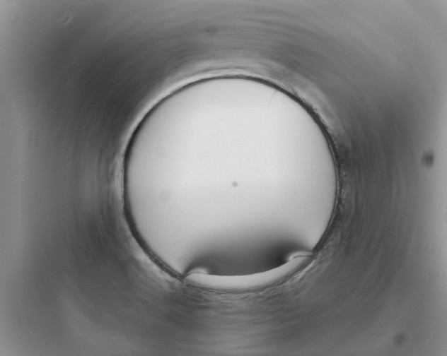 X0000097651516200803211844