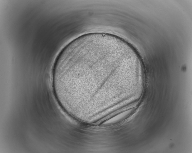 X0000097651517200803211844