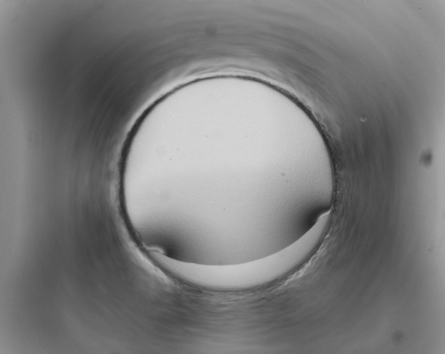 X0000097651518200803211844