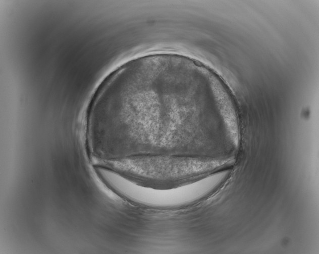 X0000097651519200803211844