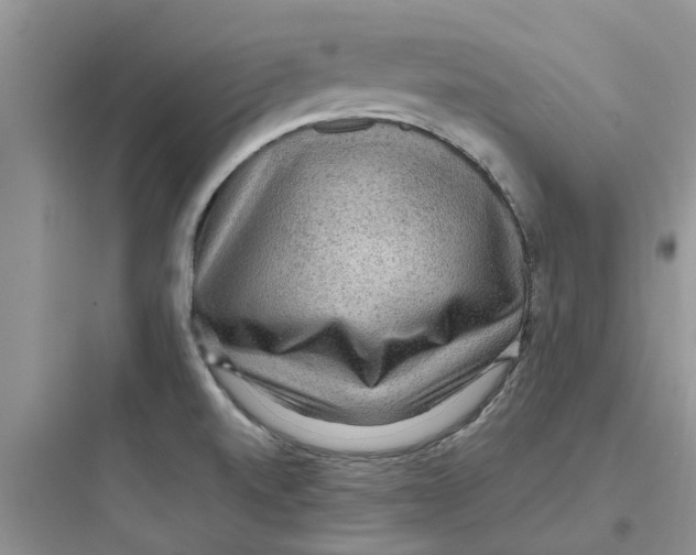 X0000097651520200803211844