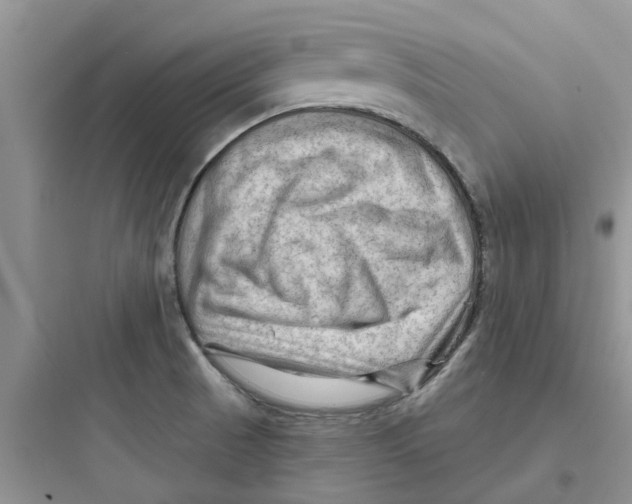 X0000097651521200803211844