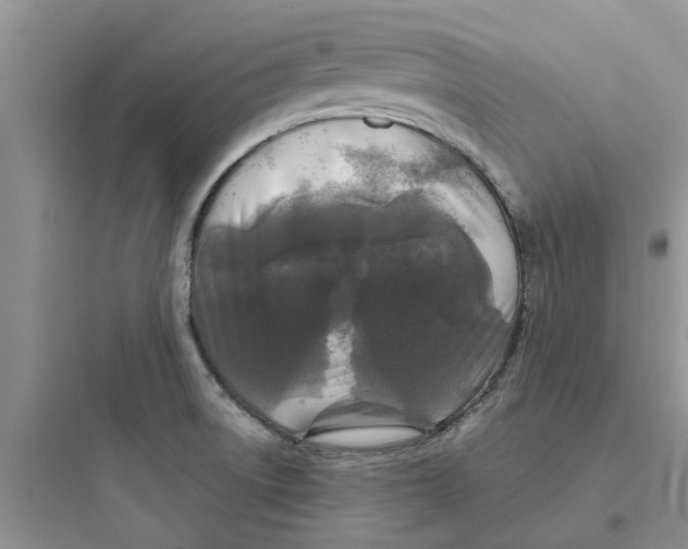 X0000097651522200803211844