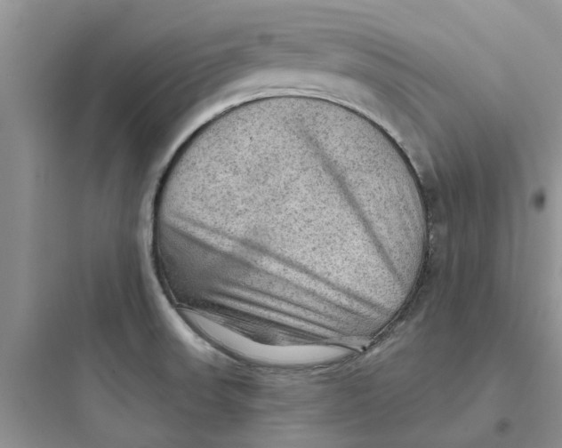 X0000097651523200803211844